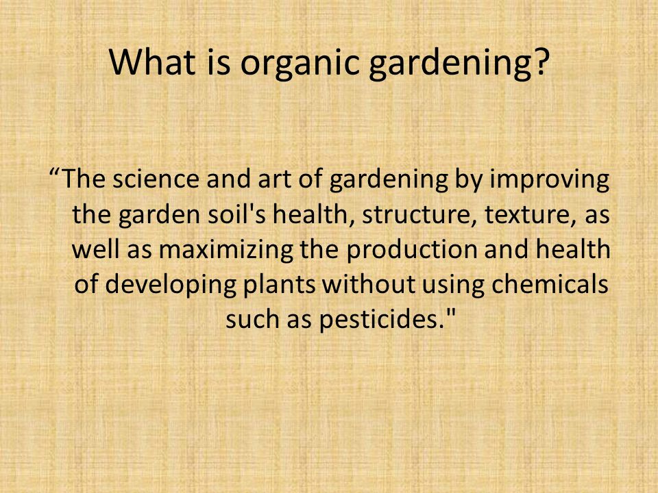 Understanding The Basics Of Organic Gardening Garden Education