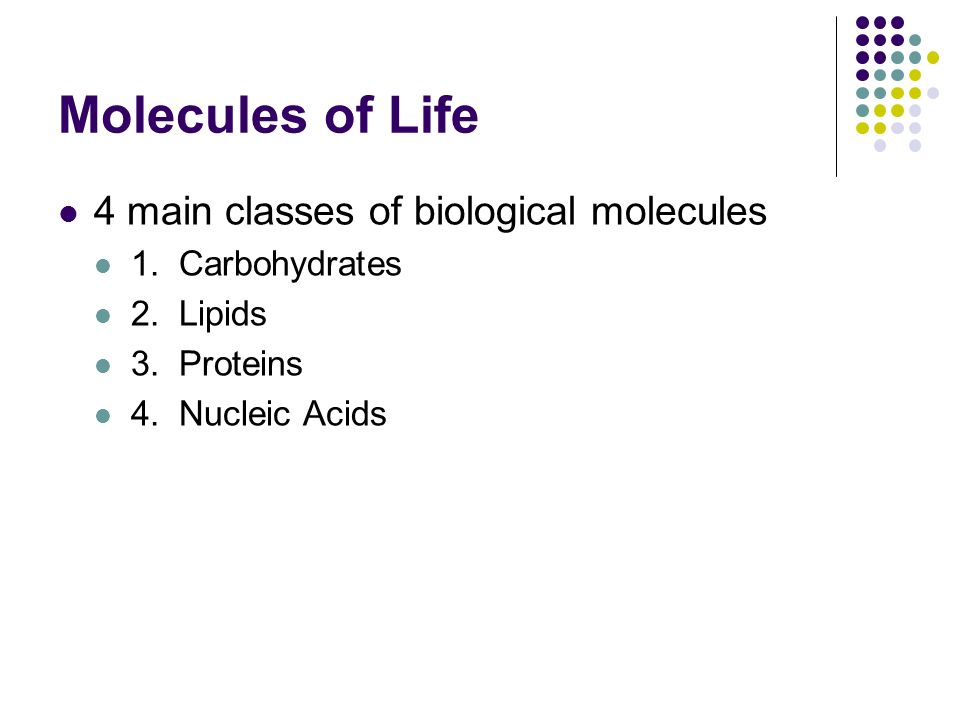 Molecules of Life 4 main classes of biological molecules 1.