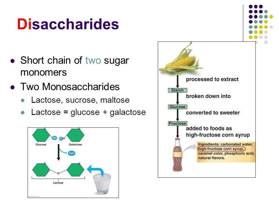 Disaccharides Short chain of two sugar monomers Two Monosaccharides Lactose, sucrose, maltose Lactose = glucose + galactose