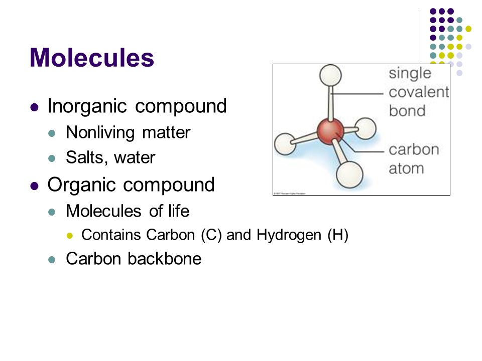 Molecules Inorganic compound Nonliving matter Salts, water Organic compound Molecules of life Contains Carbon (C) and Hydrogen (H) Carbon backbone