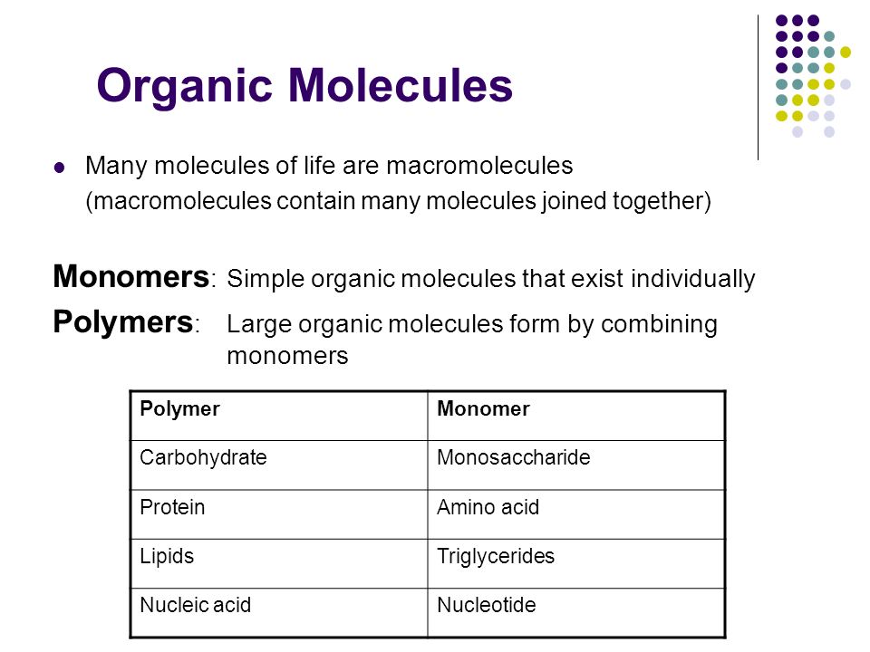 Organic Molecules Many molecules of life are macromolecules (macromolecules contain many molecules joined together) Monomers :Simple organic molecules that exist individually Polymers :Large organic molecules form by combining monomers PolymerMonomer CarbohydrateMonosaccharide ProteinAmino acid LipidsTriglycerides Nucleic acidNucleotide