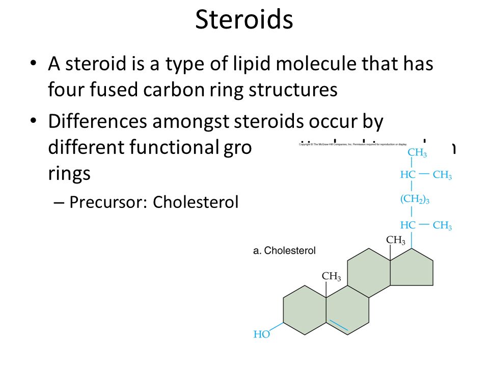 Thinking About exogenous steroids? 10 Reasons Why It's Time To Stop!
