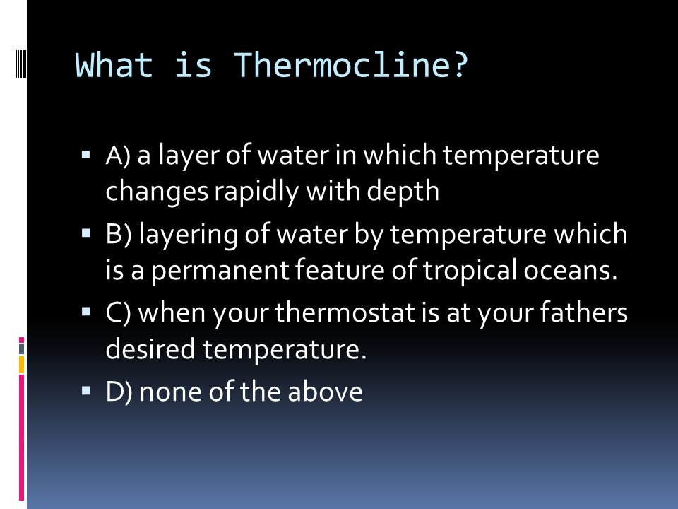What is Thermocline.