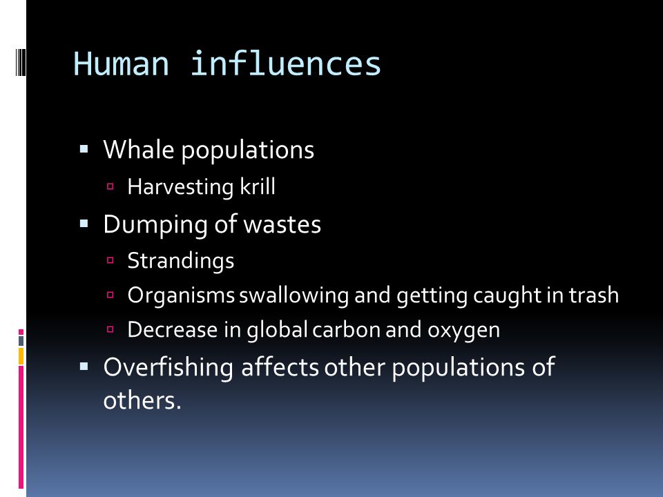 Human influences  Whale populations  Harvesting krill  Dumping of wastes  Strandings  Organisms swallowing and getting caught in trash  Decrease in global carbon and oxygen  Overfishing affects other populations of others.
