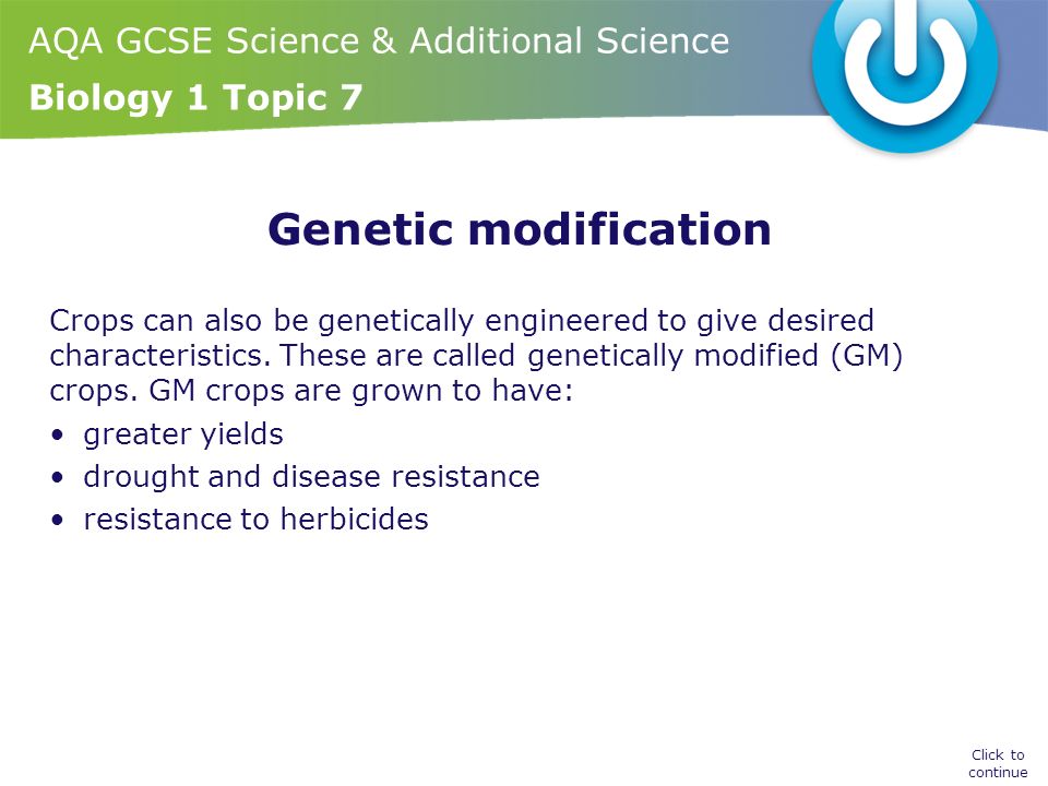 AQA GCSE Science & Additional Science Biology 1 Topic 7 Genetic modification Crops can also be genetically engineered to give desired characteristics.