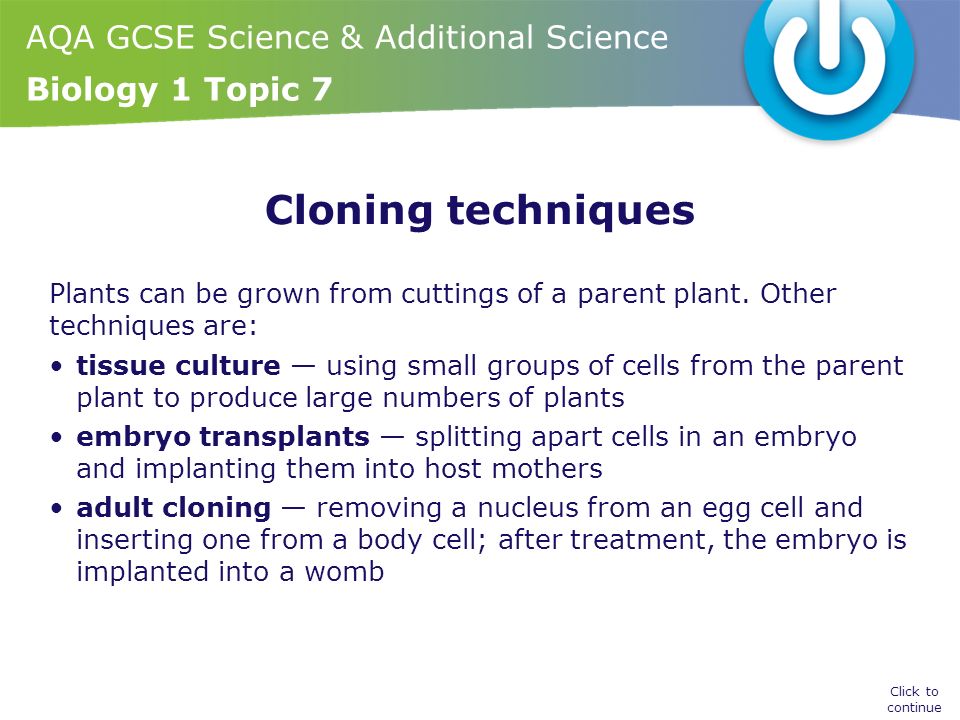 AQA GCSE Science & Additional Science Biology 1 Topic 7 Cloning techniques Plants can be grown from cuttings of a parent plant.