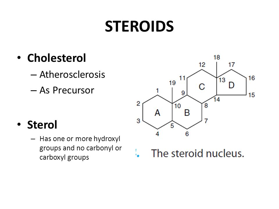 STEROIDS Cholesterol – Atherosclerosis – As Precursor Sterol – Has one or more hydroxyl groups and no carbonyl or carboxyl groups