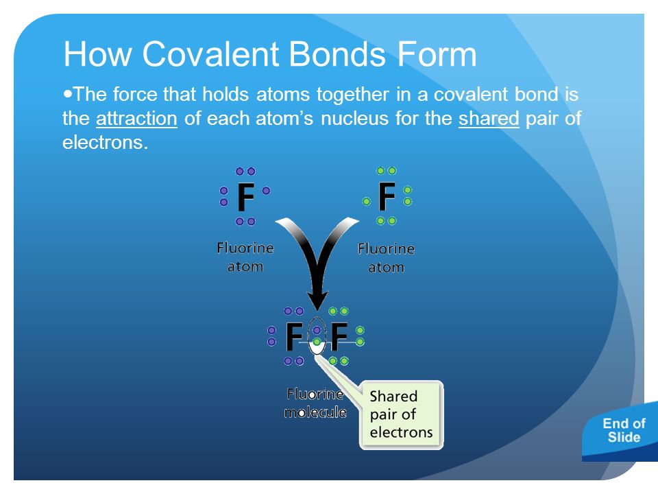 How Covalent Bonds Form The force that holds atoms together in a covalent bond is the attraction of each atom’s nucleus for the shared pair of electrons.