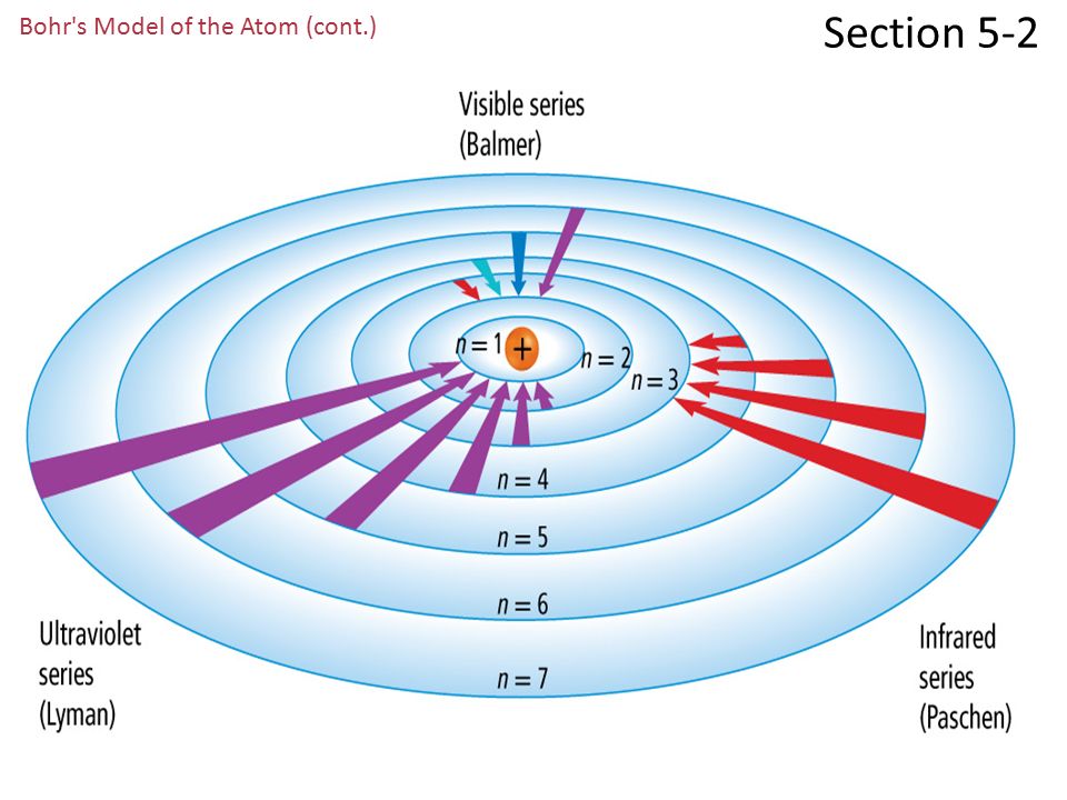 Section 5-2 Bohr s Model of the Atom (cont.) Hydrogen’s single electron is in the n = 1 orbit in the ground state.