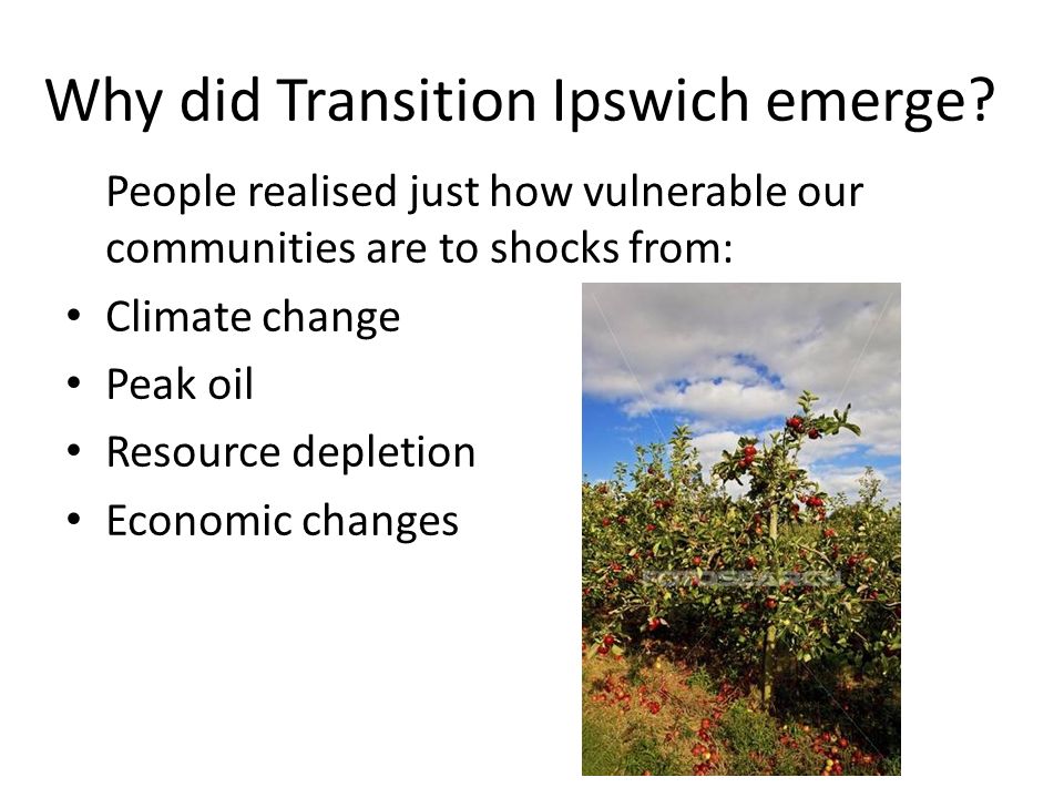 Why did Transition Ipswich emerge.