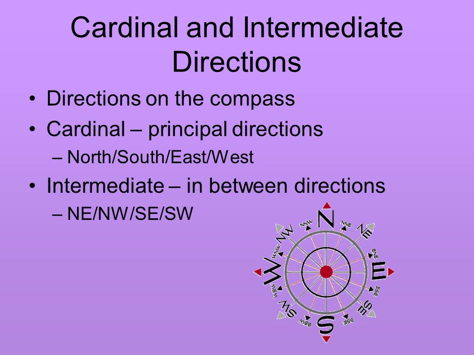 Cardinal and Intermediate Directions Directions on the compass Cardinal – principal directions –North/South/East/West Intermediate – in between directions –NE/NW/SE/SW