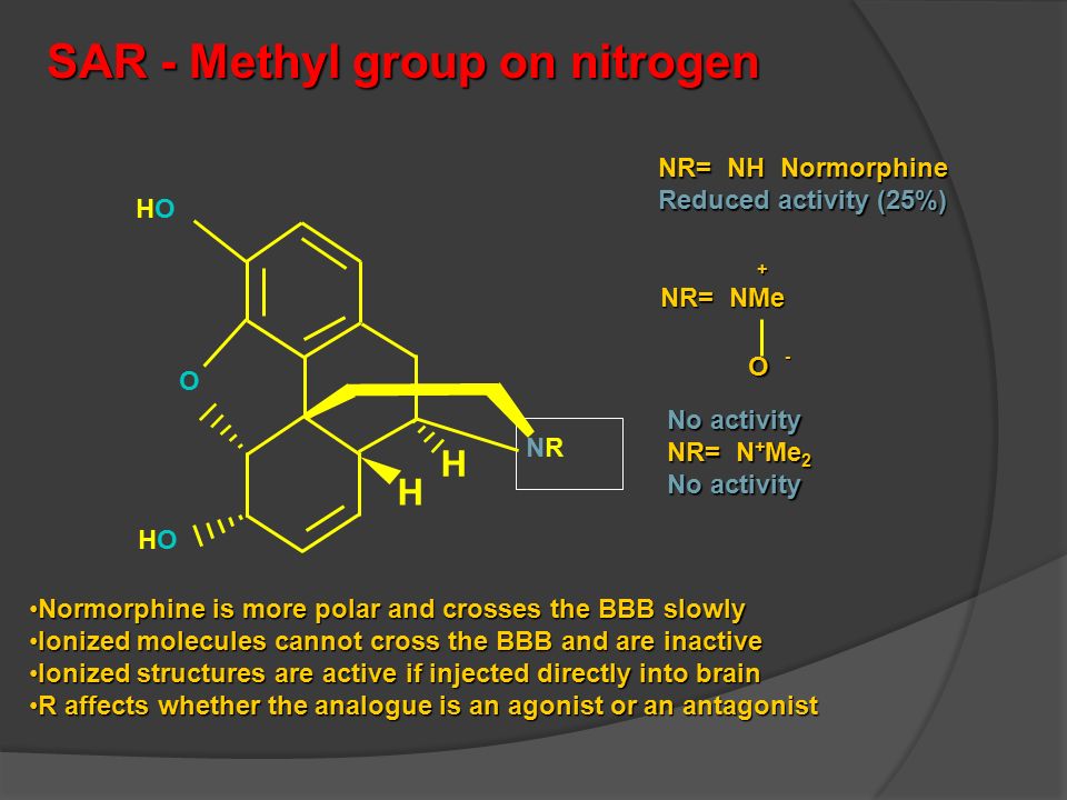 SAR - Methyl group on nitrogen NR= NH Normorphine Reduced activity (25%) Normorphine is more polar and crosses the BBB slowlyNormorphine is more polar and crosses the BBB slowly Ionized molecules cannot cross the BBB and are inactiveIonized molecules cannot cross the BBB and are inactive Ionized structures are active if injected directly into brainIonized structures are active if injected directly into brain R affects whether the analogue is an agonist or an antagonistR affects whether the analogue is an agonist or an antagonist No activity NR= N + Me 2 No activity NRNR O HOHO HOHO H H O NR= NMe +-