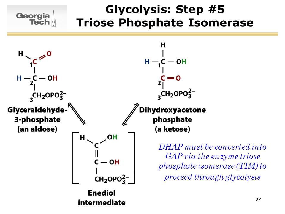 1 SURVEY OF BIOCHEMISTRY Glycolysis. 2 Glycolysis Overview Glycolysis:  breakdown of glucose into pyruvate with net production of ATP Occurs in  cytosol. - ppt download