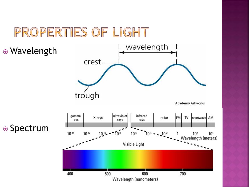  Wavelength  Spectrum