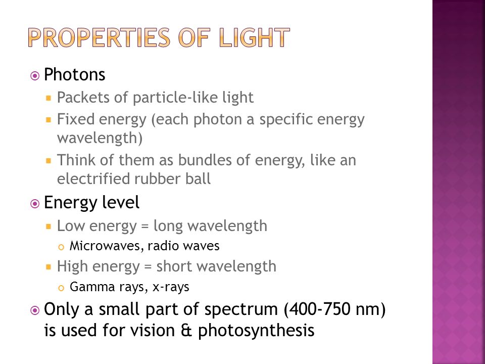  Photons  Packets of particle-like light  Fixed energy (each photon a specific energy wavelength)  Think of them as bundles of energy, like an electrified rubber ball  Energy level  Low energy = long wavelength Microwaves, radio waves  High energy = short wavelength Gamma rays, x-rays  Only a small part of spectrum ( nm) is used for vision & photosynthesis