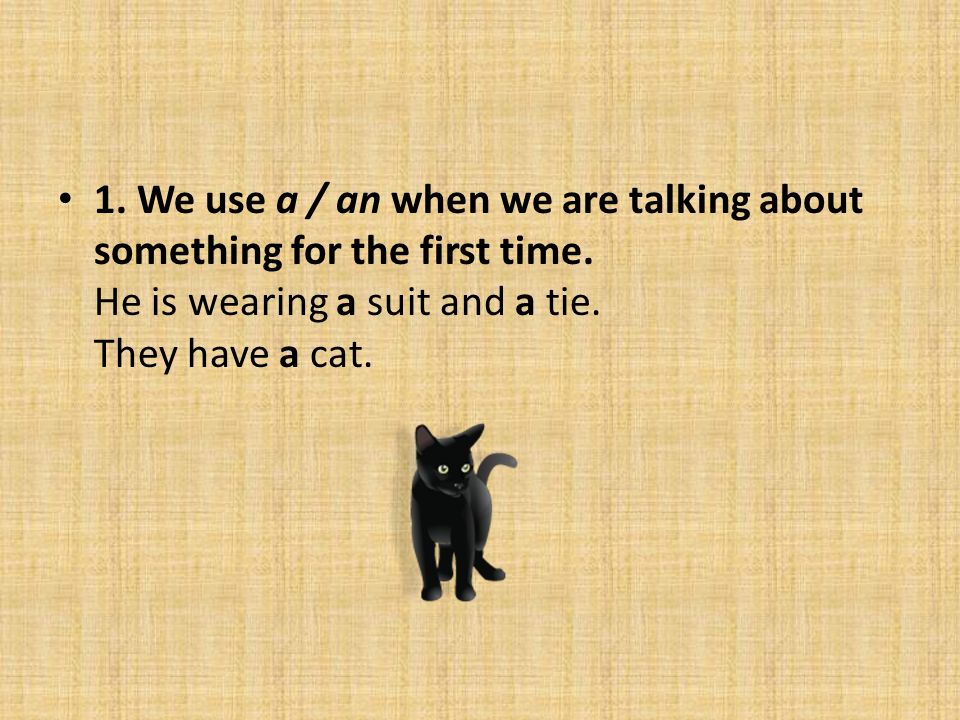 1. We use a / an when we are talking about something for the first time.