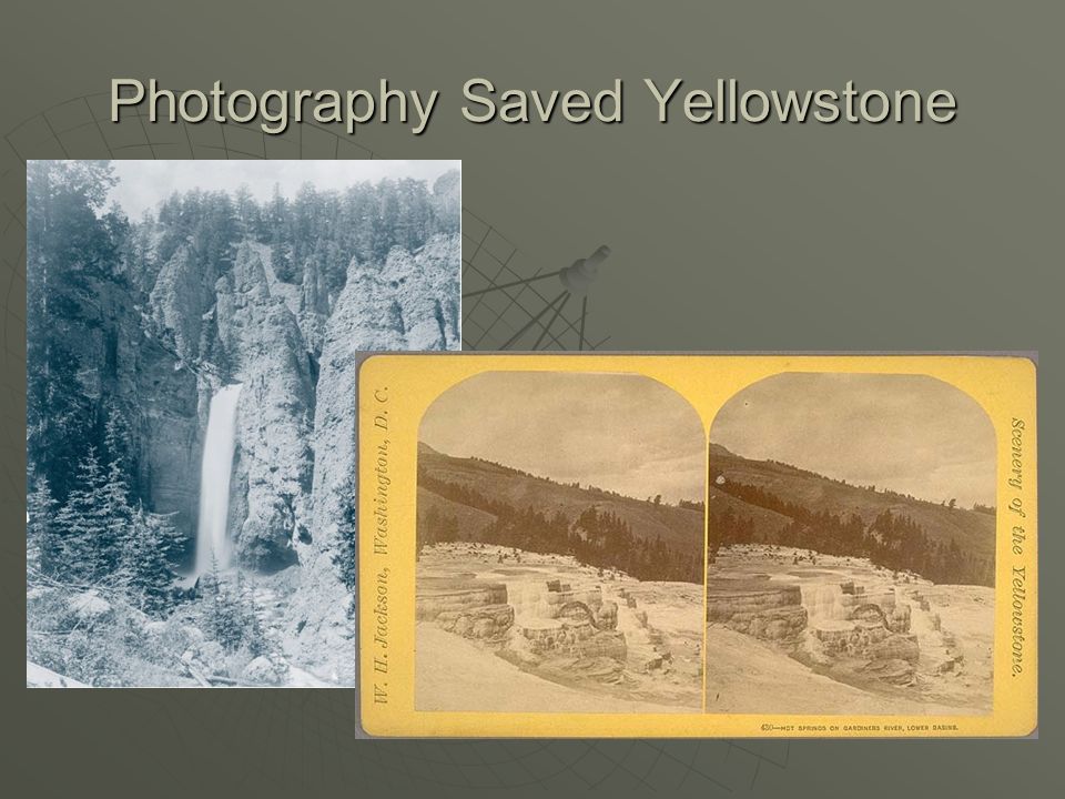 Photography Saved Yellowstone