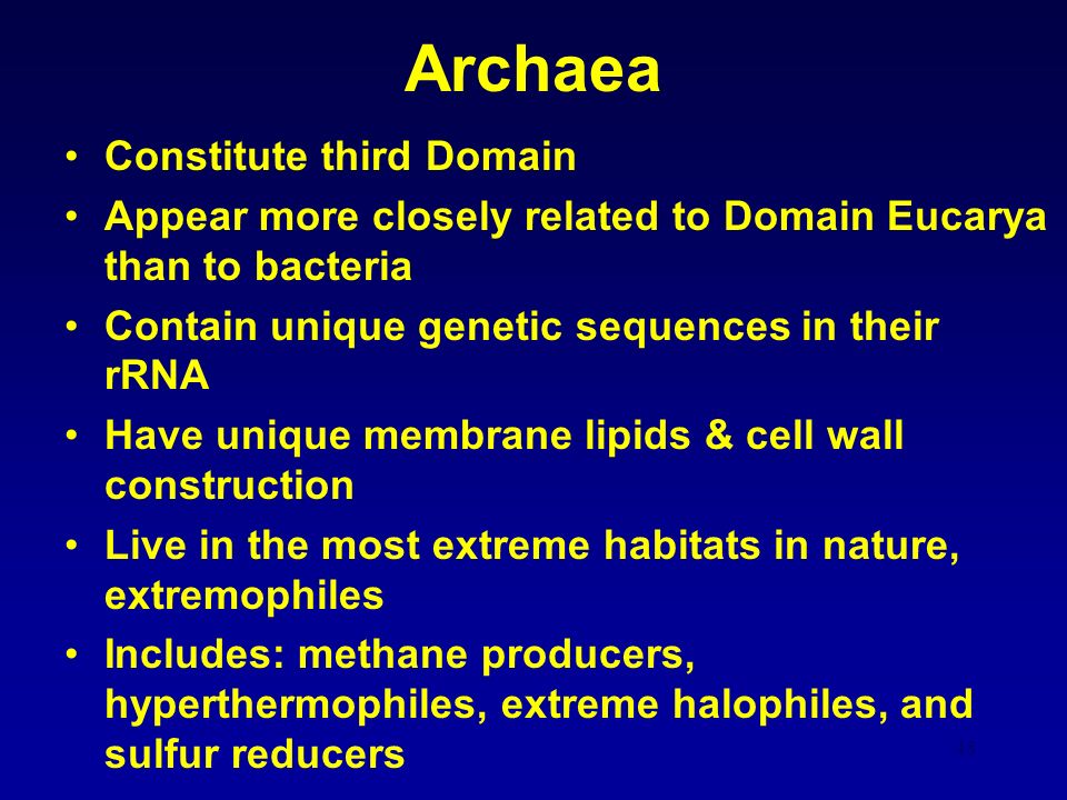 48 Archaea Constitute third Domain Appear more closely related to Domain Eucarya than to bacteria Contain unique genetic sequences in their rRNA Have unique membrane lipids & cell wall construction Live in the most extreme habitats in nature, extremophiles Includes: methane producers, hyperthermophiles, extreme halophiles, and sulfur reducers
