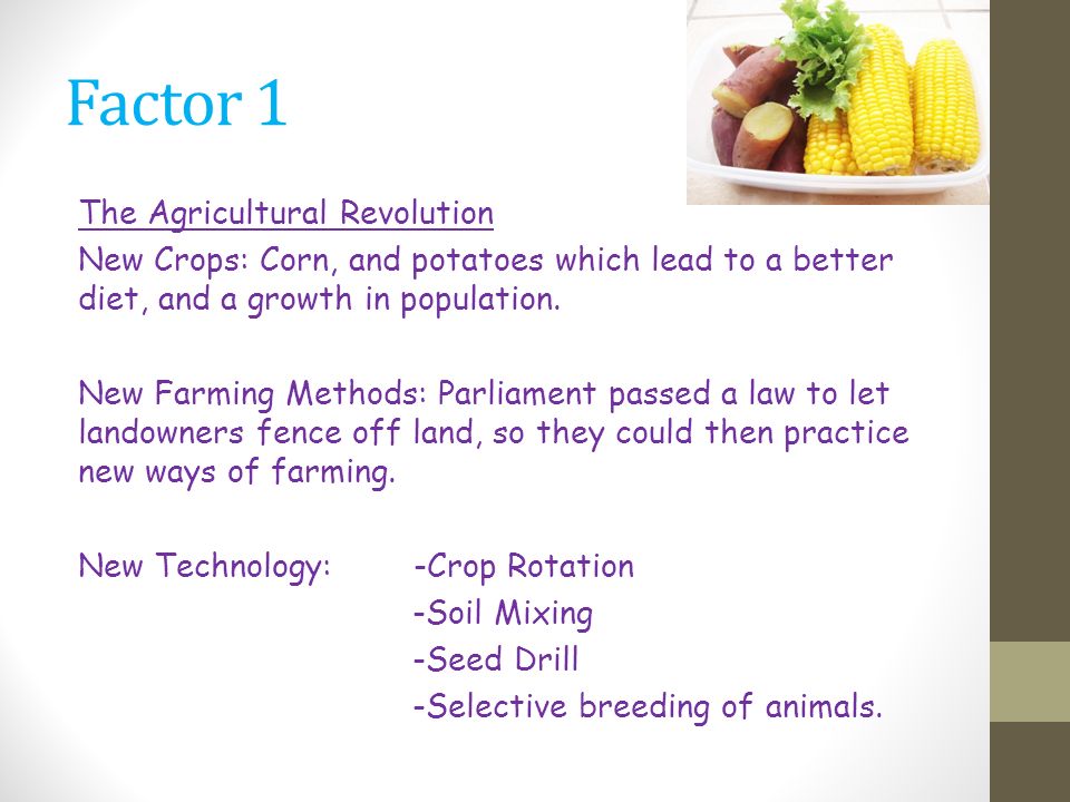 Factor 1 The Agricultural Revolution New Crops: Corn, and potatoes which lead to a better diet, and a growth in population.