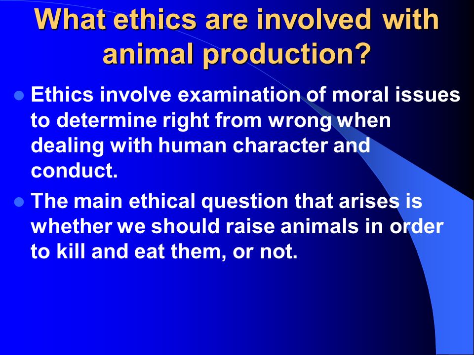 ethics of animal testing welfare ethics