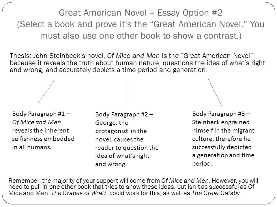 Great American Novel Essay Option Select A Criteria To Prove Great American Novel Essay Option Select A Book And Prove Its The Business Plan Writers San Jose Ca also Health Awareness Essay Example Of A Thesis Statement For An Essay