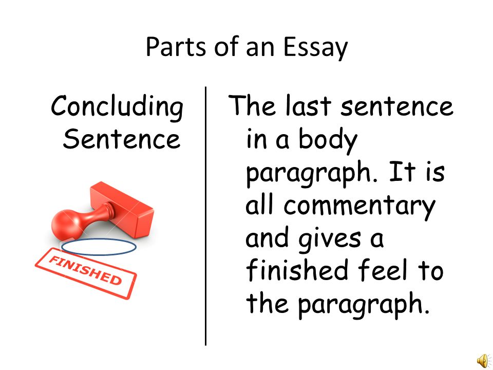 Parts of an Essay Topic Sentence The first sentence in a body paragraph.