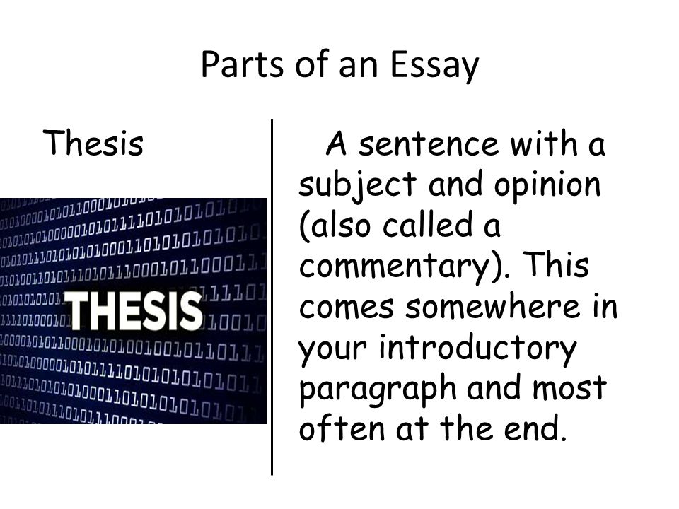 Parts of an Essay Your conclusion is all commentary and does not include concrete detail. (facts)