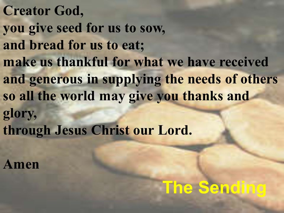 Creator God, you give seed for us to sow, and bread for us to eat; make us thankful for what we have received and generous in supplying the needs of others so all the world may give you thanks and glory, through Jesus Christ our Lord.