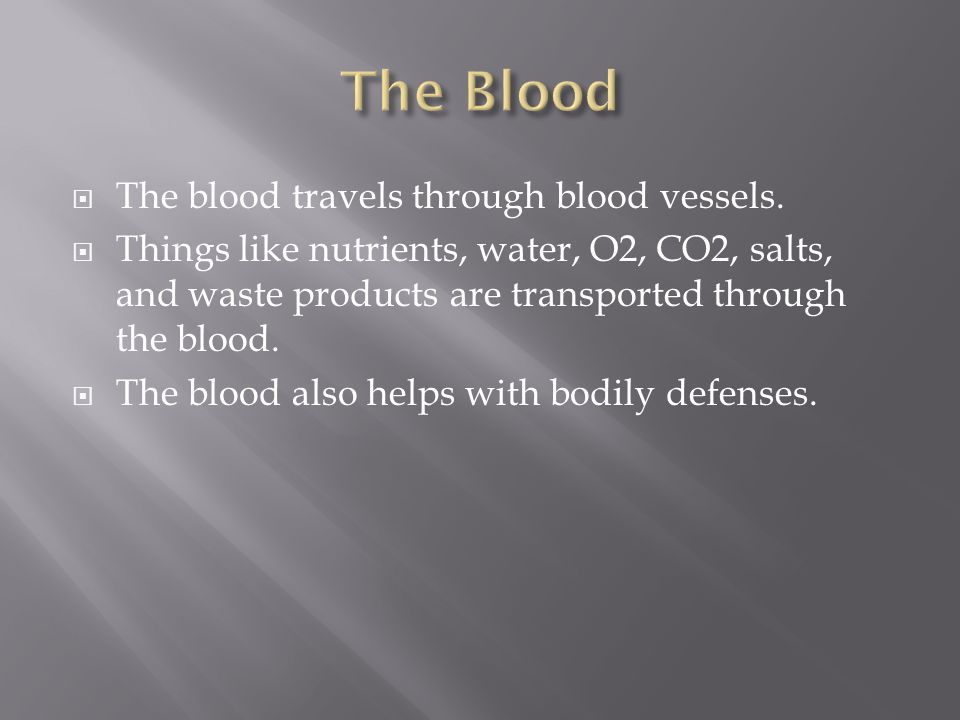  The blood travels through blood vessels.