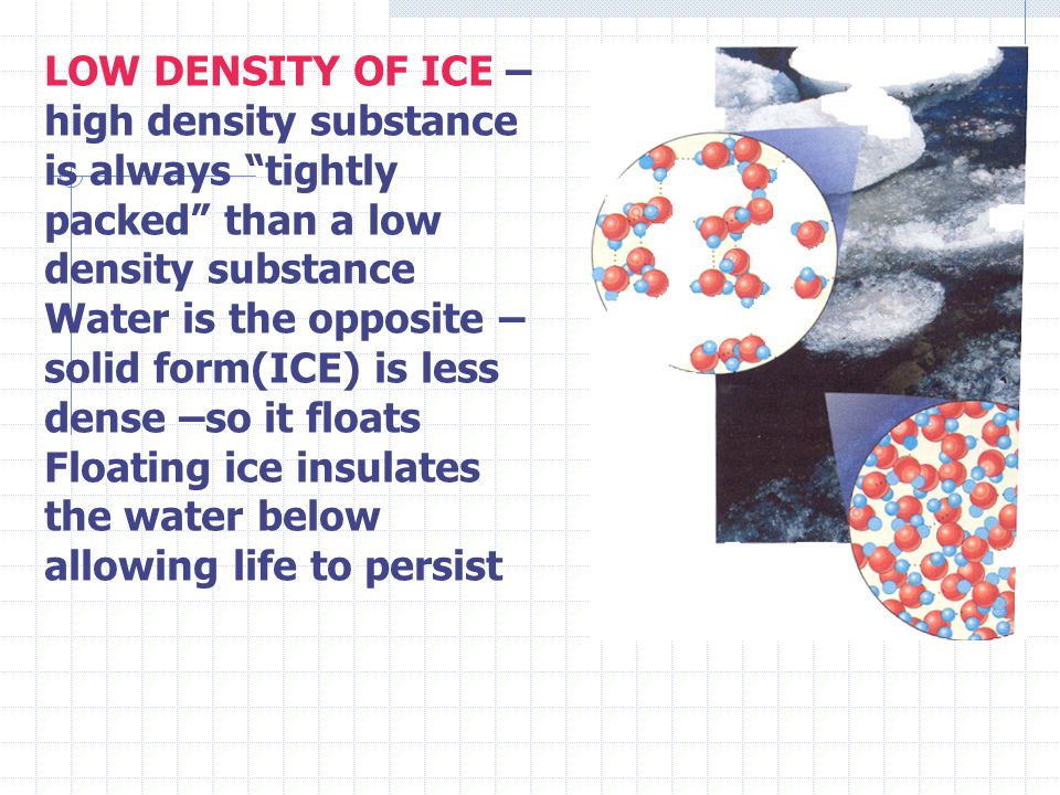 LOW DENSITY OF ICE – high density substance is always tightly packed than a low density substance Water is the opposite – solid form(ICE) is less dense –so it floats Floating ice insulates the water below allowing life to persist