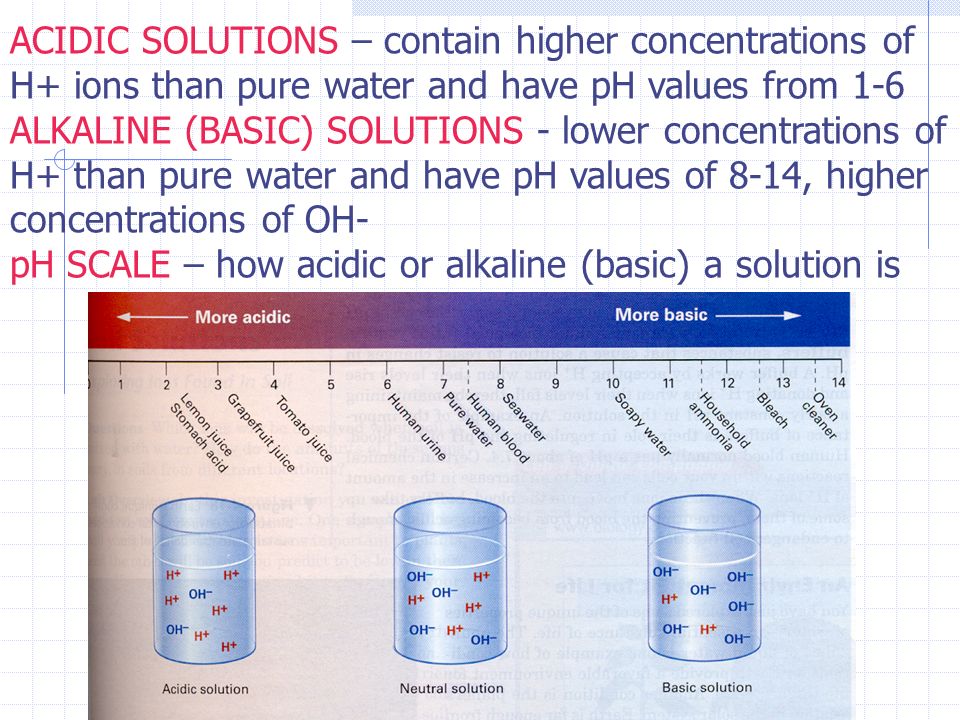 ACIDIC SOLUTIONS – contain higher concentrations of H+ ions than pure water and have pH values from 1-6 ALKALINE (BASIC) SOLUTIONS - lower concentrations of H+ than pure water and have pH values of 8-14, higher concentrations of OH- pH SCALE – how acidic or alkaline (basic) a solution is