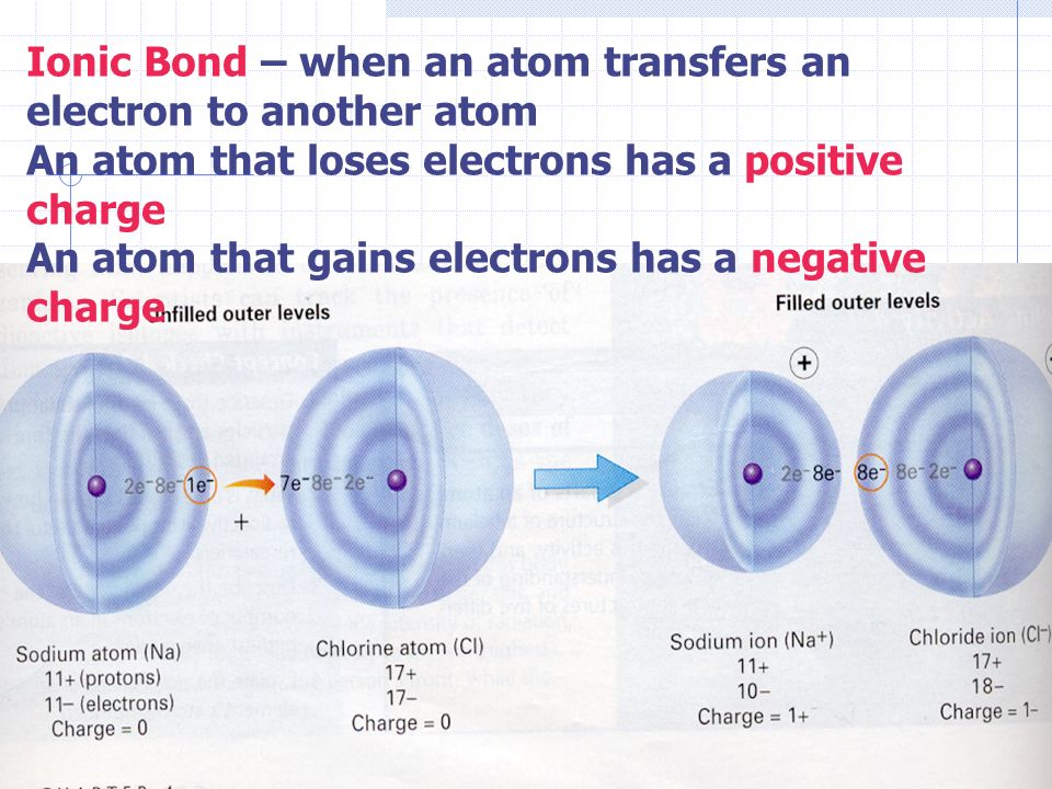 Ionic Bond – when an atom transfers an electron to another atom An atom that loses electrons has a positive charge An atom that gains electrons has a negative charge