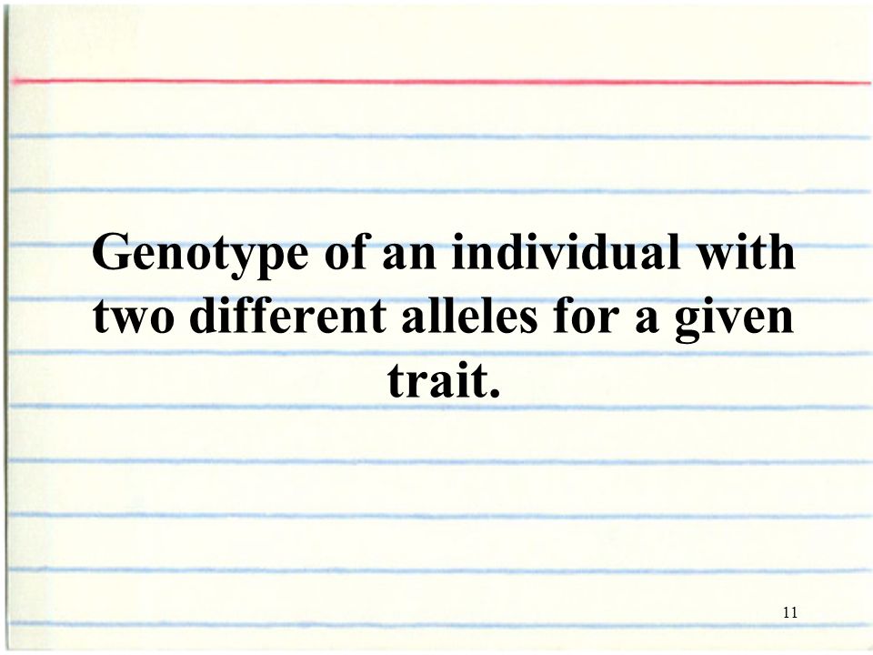 11 Genotype of an individual with two different alleles for a given trait.