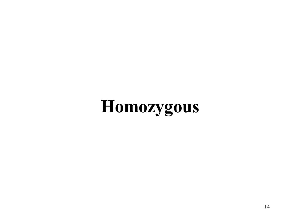 14 Homozygous