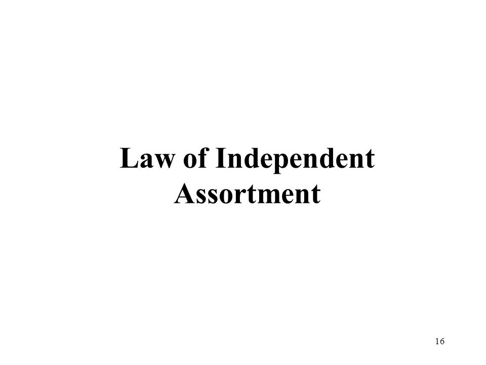 16 Law of Independent Assortment