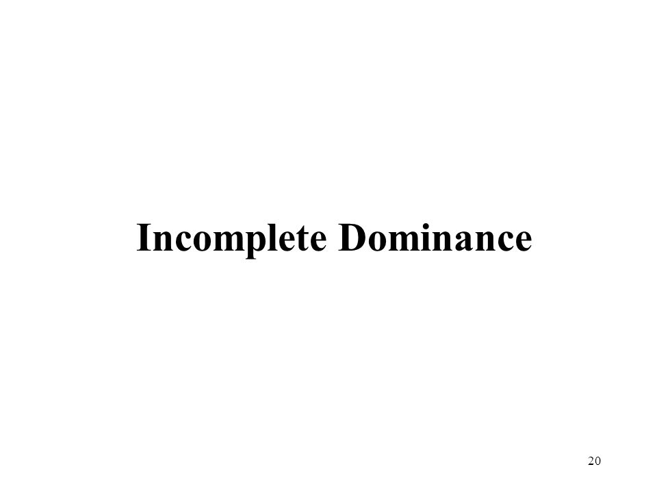 20 Incomplete Dominance
