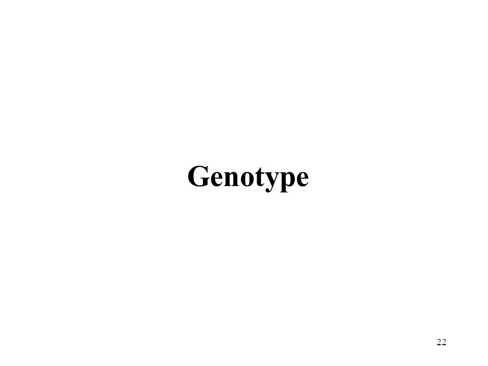 22 Genotype