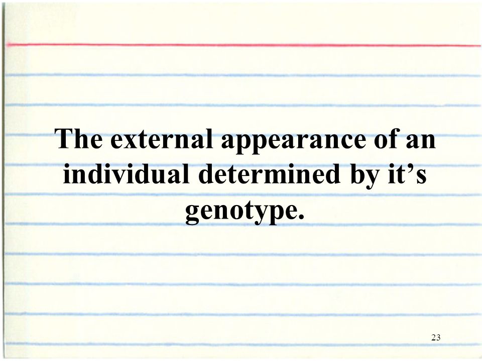 23 The external appearance of an individual determined by it’s genotype.