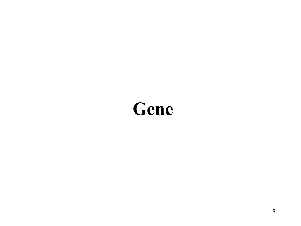 8 Gene