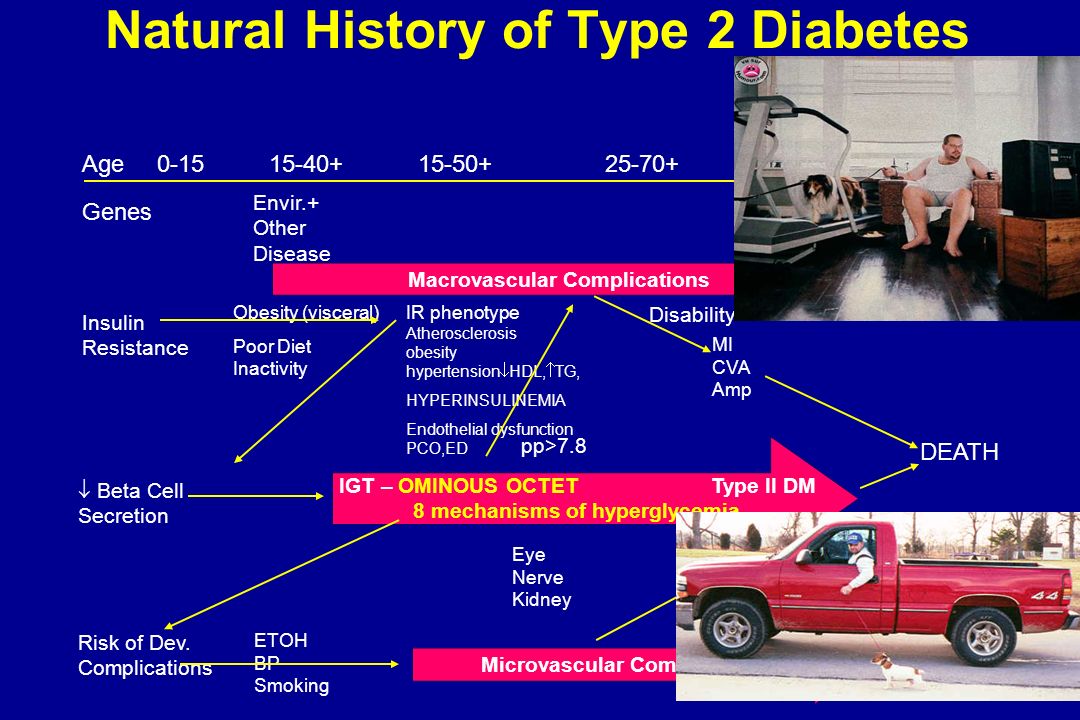 Natural History of Type 2 Diabetes IR phenotype Atherosclerosis obesity hypertension  HDL,  TG, HYPERINSULINEMIA Endothelial dysfunction PCO,ED Envir.+ Other Disease Obesity (visceral) Poor Diet Inactivity Insulin Resistance Risk of Dev.