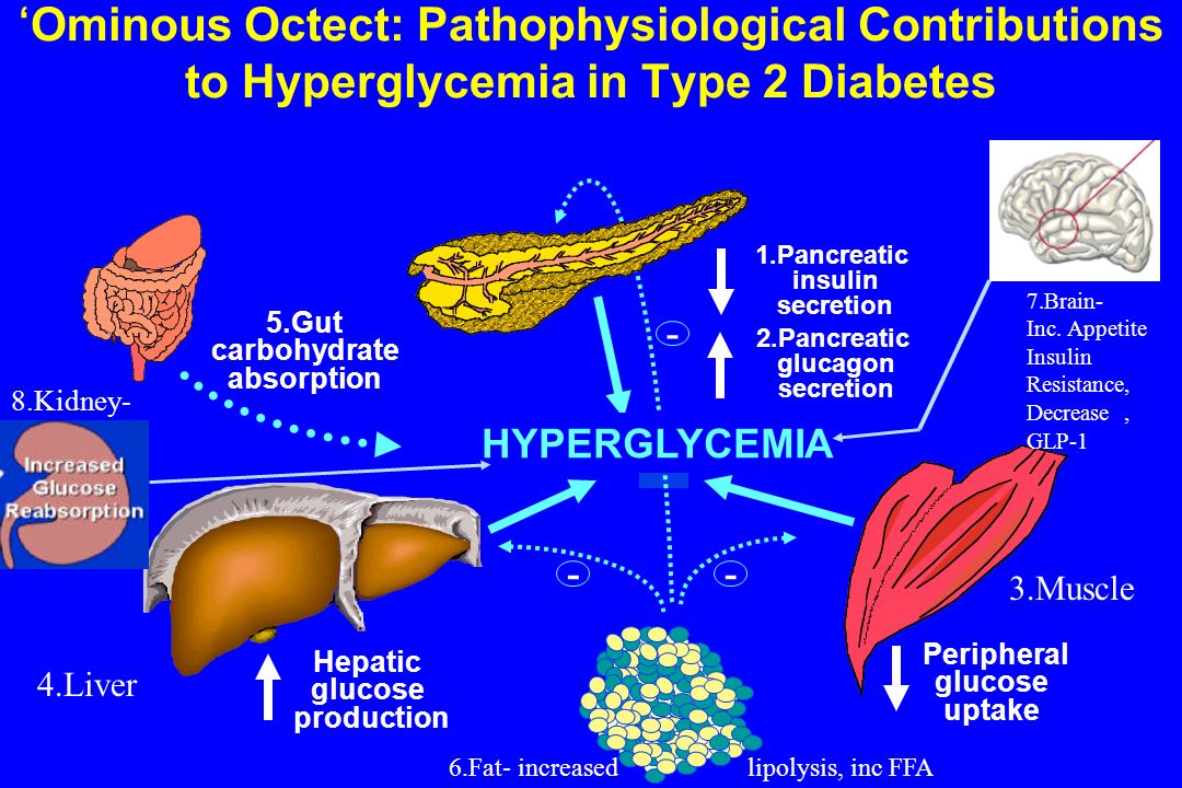 ‘Ominous Octect: Pathophysiological Contributions to Hyperglycemia in Type 2 Diabetes 5.Gut carbohydrate absorption Peripheral glucose uptake Hepatic glucose production Pancreatic insulin secretion 2.Pancreatic glucagon secretion HYPERGLYCEMIA 6.Fat- increased lipolysis, inc FFA 7.Brain- Inc.