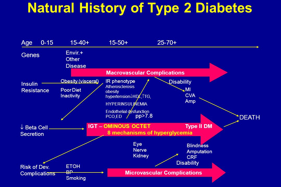 Natural History of Type 2 Diabetes IR phenotype Atherosclerosis obesity hypertension  HDL,  TG, HYPERINSULINEMIA Endothelial dysfunction PCO,ED Envir.+ Other Disease Obesity (visceral) Poor Diet Inactivity Insulin Resistance Risk of Dev.