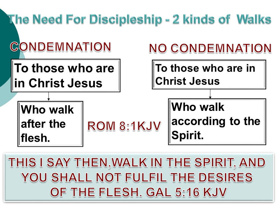 To those who are in Christ Jesus Who walk according to the Spirit.