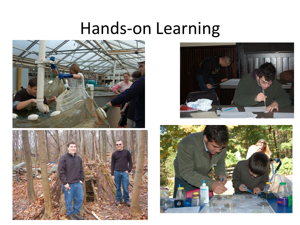 Hands-on Learning