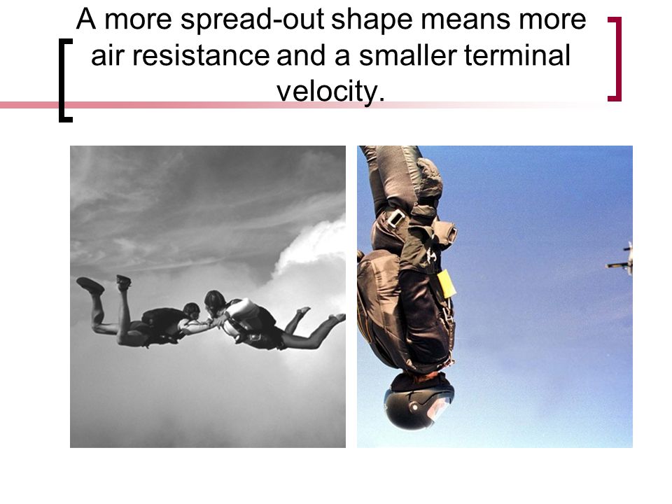 A more spread-out shape means more air resistance and a smaller terminal velocity.