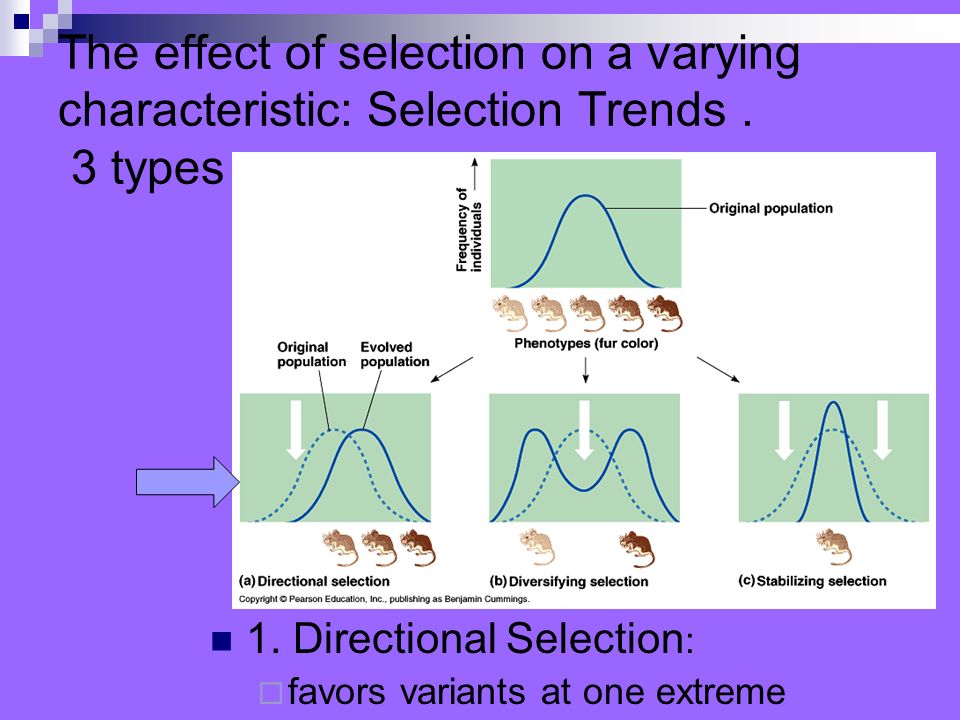 The effect of selection on a varying characteristic: Selection Trends.