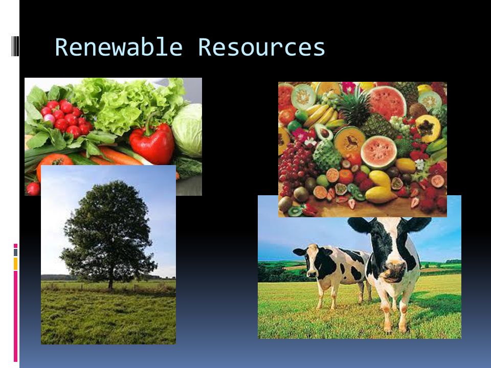Natural Resources. What is a natural resource?  A resource is a material  that is found in nature and that is used by living things.  Natural  resources. - ppt download