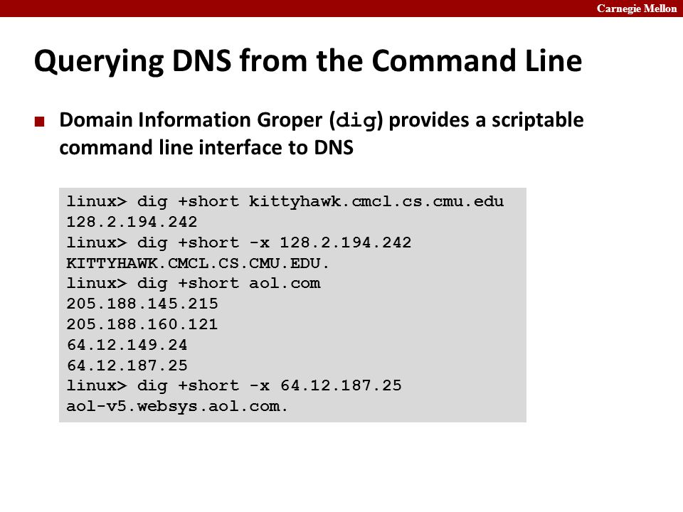 Carnegie Mellon Querying DNS from the Command Line Domain Information Groper ( dig ) provides a scriptable command line interface to DNS linux> dig +short kittyhawk.cmcl.cs.cmu.edu linux> dig +short -x KITTYHAWK.CMCL.CS.CMU.EDU.