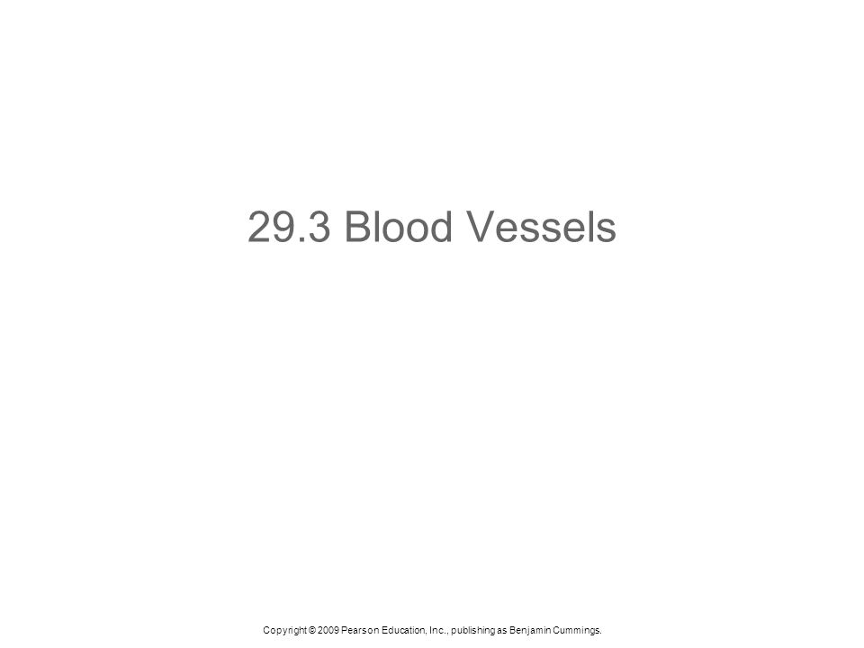 Copyright © 2009 Pearson Education, Inc., publishing as Benjamin Cummings Blood Vessels