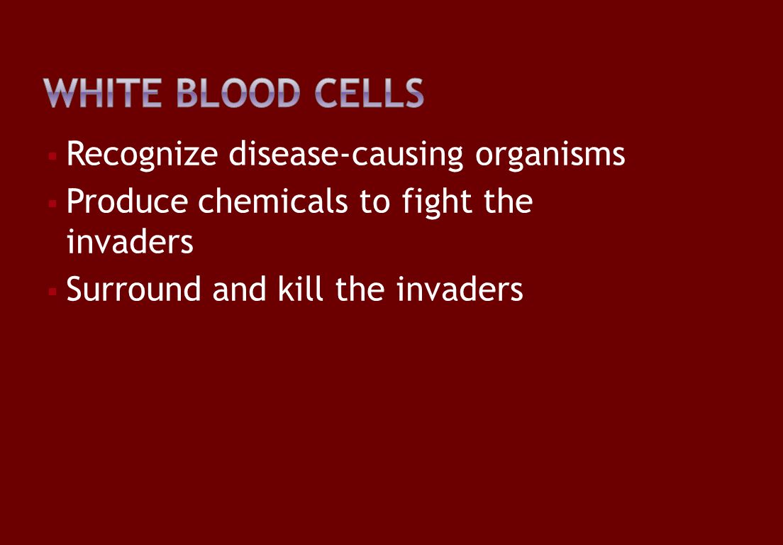  Recognize disease-causing organisms  Produce chemicals to fight the invaders  Surround and kill the invaders